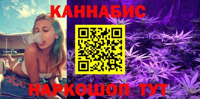 индика Тверь