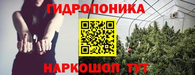 индика Тверь