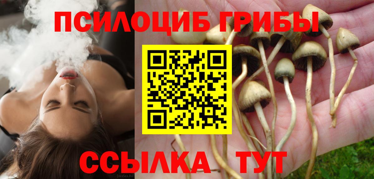 Галлюциногенные грибы Psilocybe  Вход с VPN  Петропавловск-Камчатский 